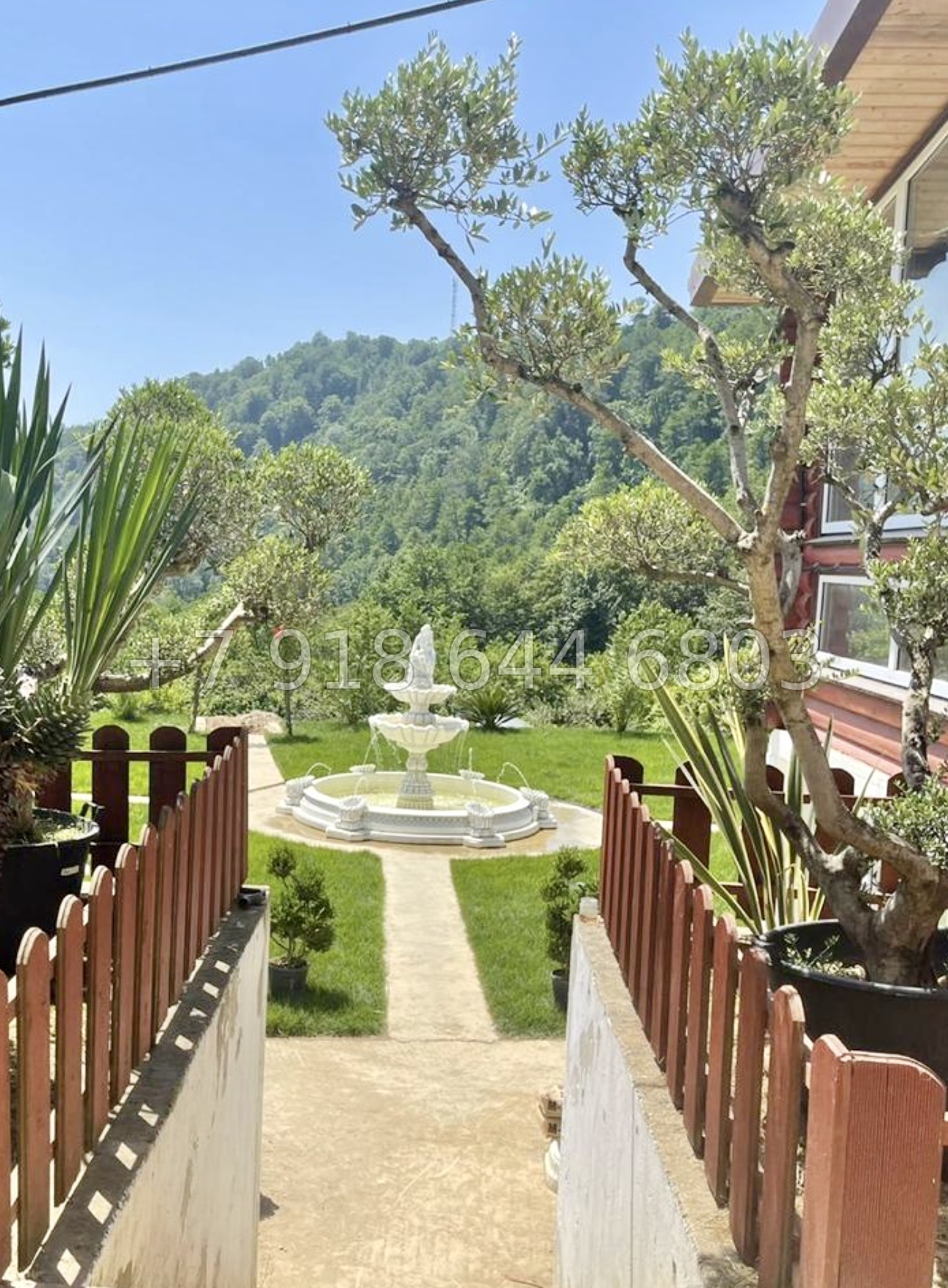 № 72 Б. Дом с озером с карпами в Адлере  - миниатюра 22