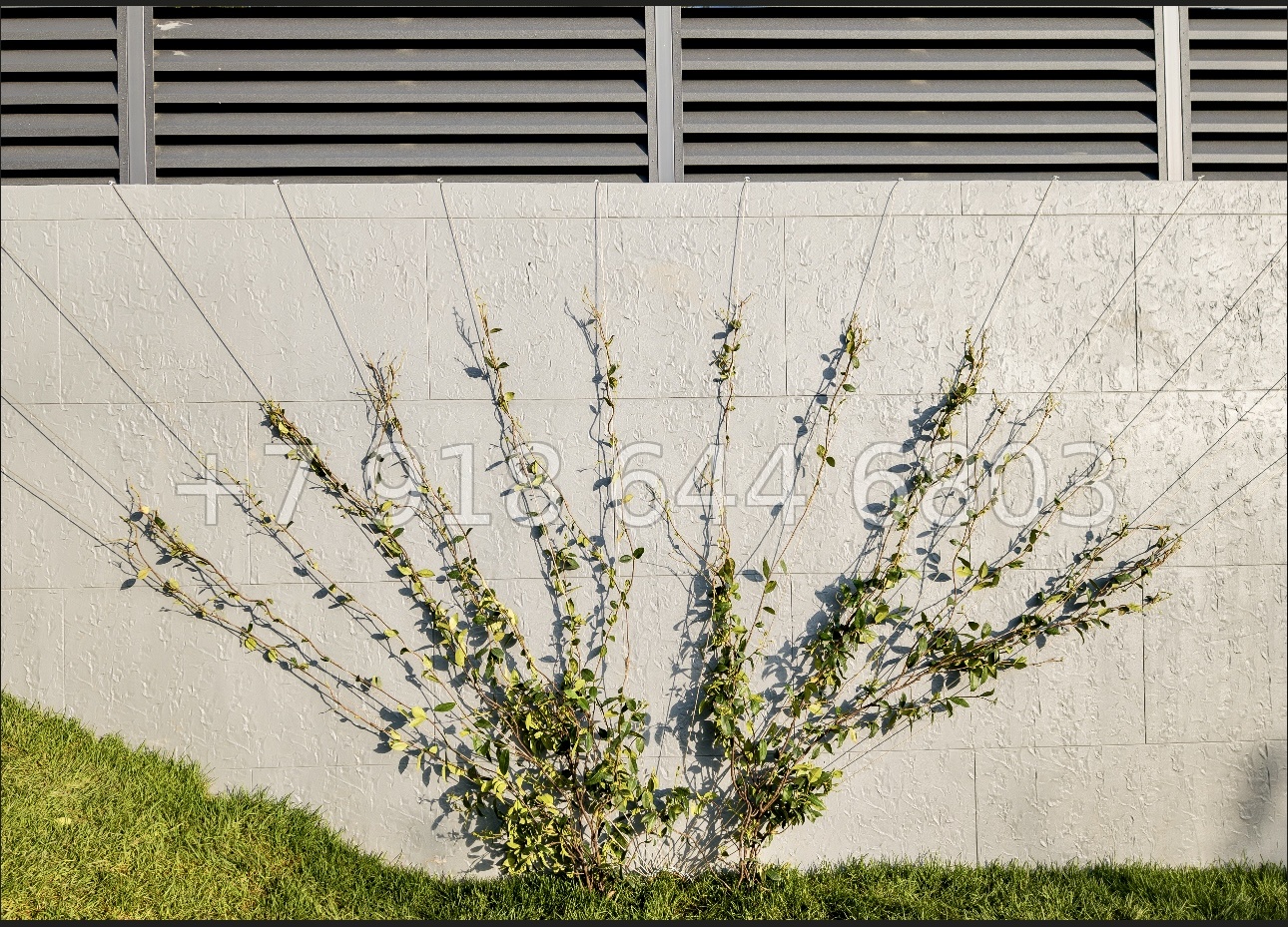 № 28 м. Современный дом с бассейном в Адлере  - миниатюра 29