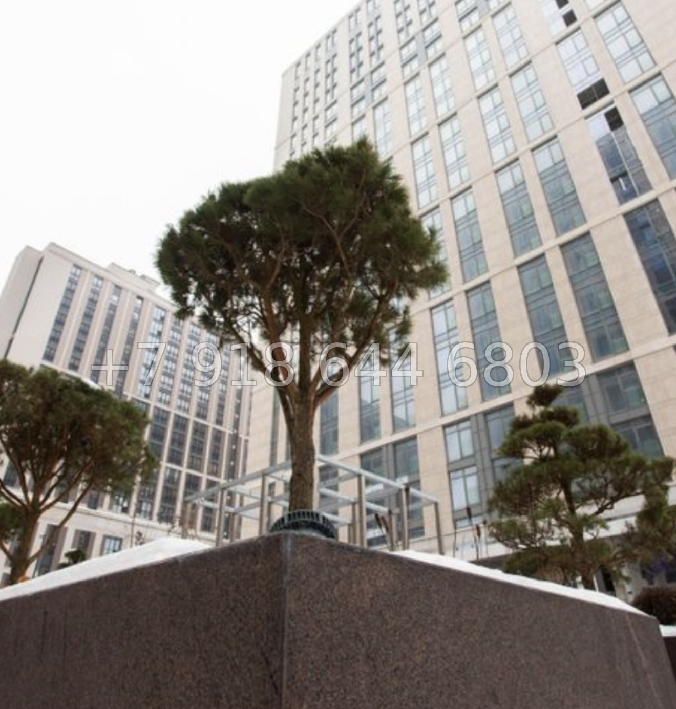 № 61 в. Метро Московская. ЖК Дефанс Санкт Петербург  - миниатюра 28