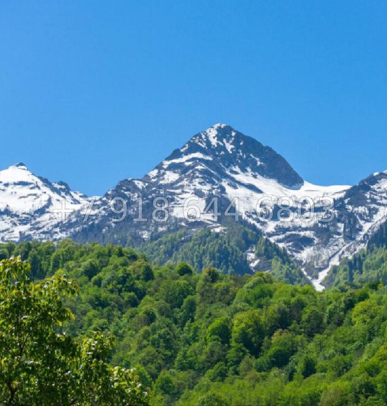 № 23 и. Двухкомнатная Квартира на Красной Поляне  - миниатюра 15