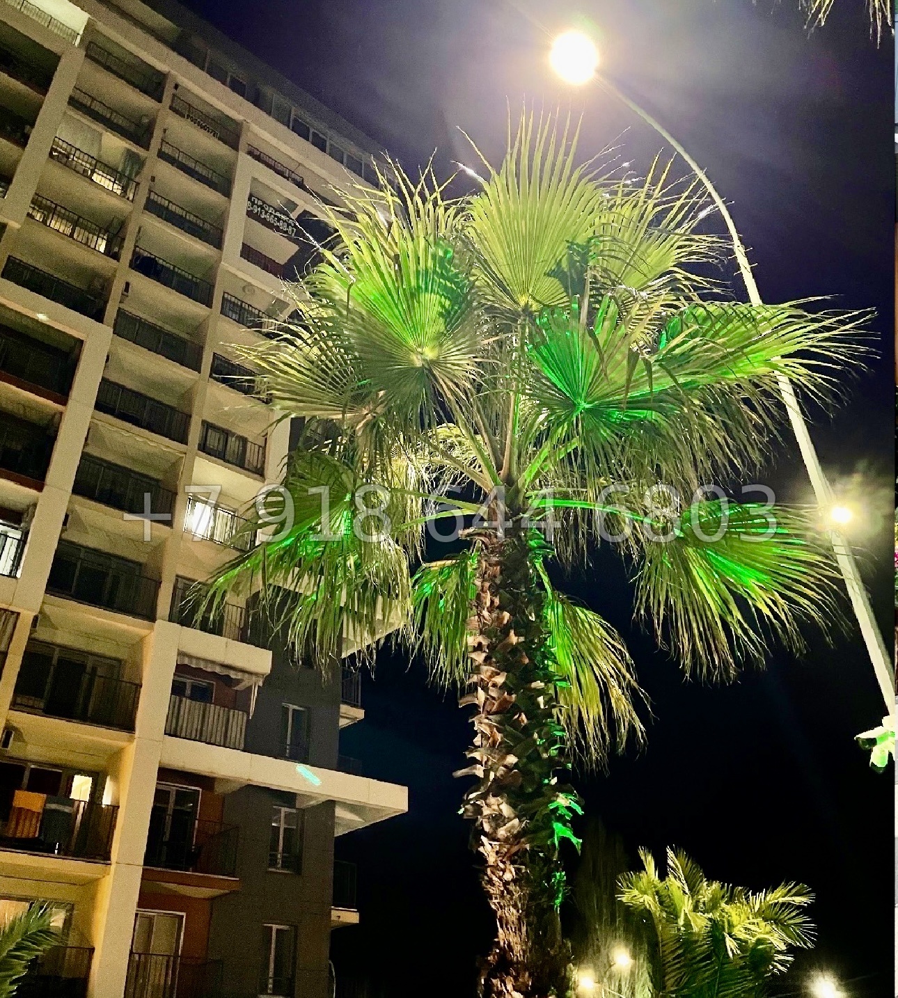 № 508 р. ЖК Каравелла Португалии Сочи Дагомыс  - миниатюра 15