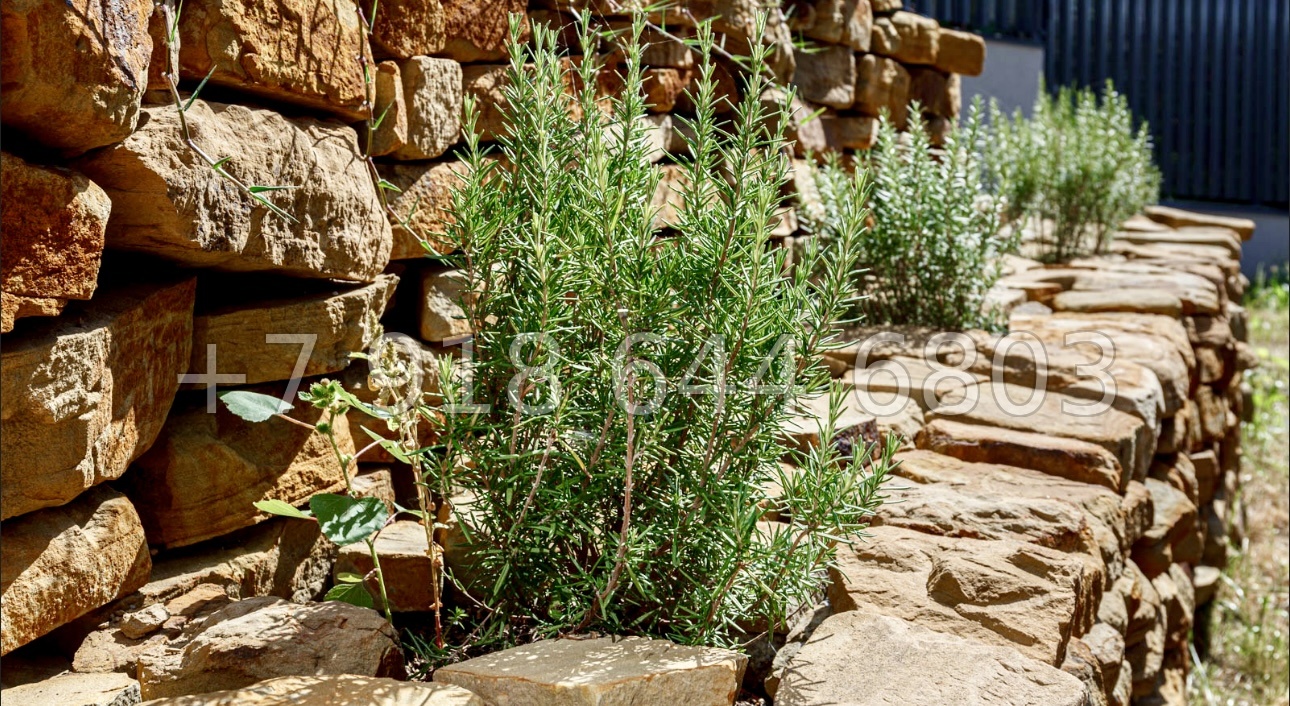 № 114 Б. Два дома со скидкой в Адлере  - миниатюра 26