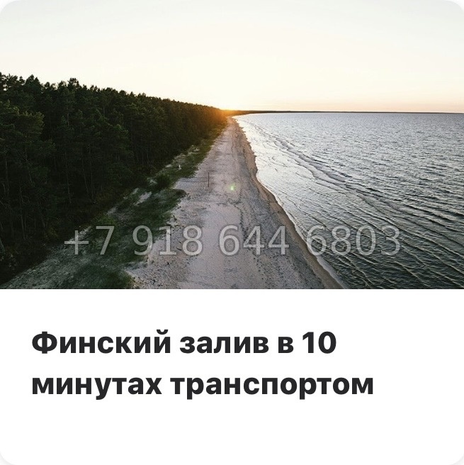 № 104 в. Метро Проспект Ветеранов. ЖК Таллинский парк - миниатюра 35