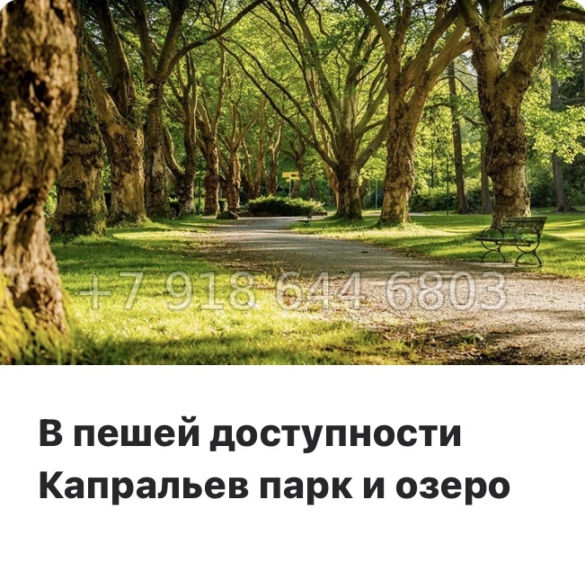 № 6ы. ( Сдан ) Метро Девяткино. ЖК Удача Новое Девяткино  - миниатюра 10