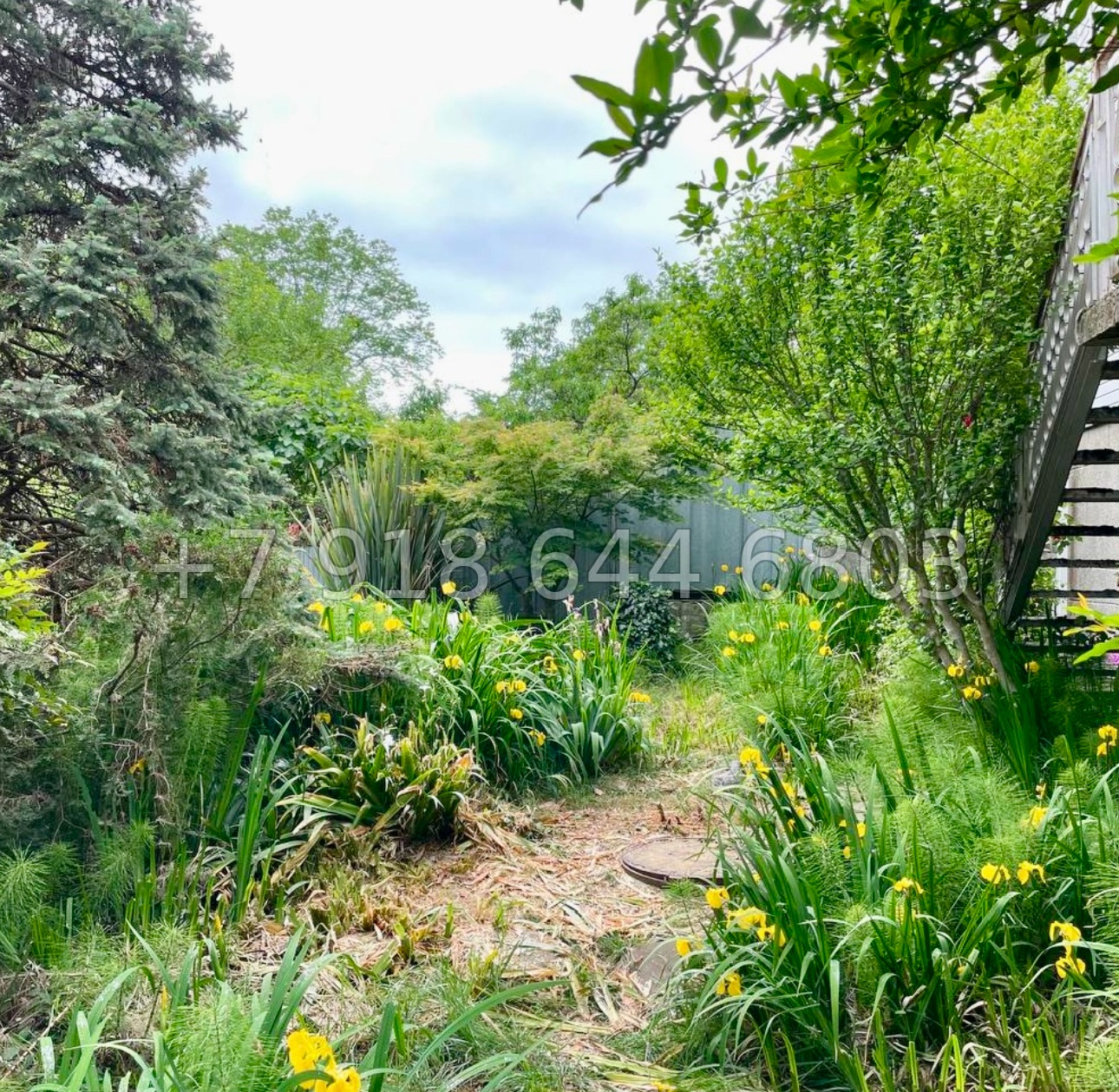 № 147 А. Дом на море в Сочи с камином  - миниатюра 26