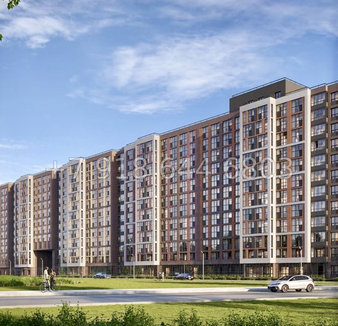 № 84 в. Метро Парнас. ЖК Dogma. Юкки - миниатюра 8