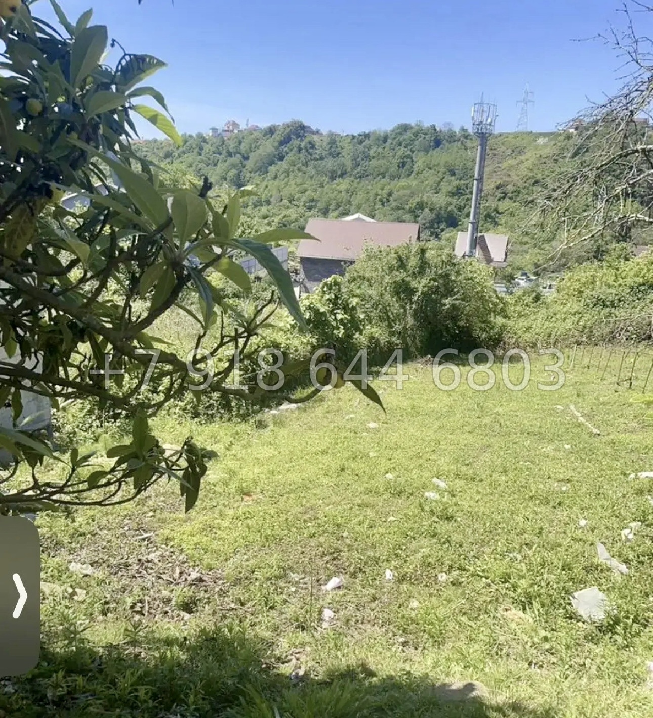 № 14 у. Земля в Адлере  - миниатюра 2