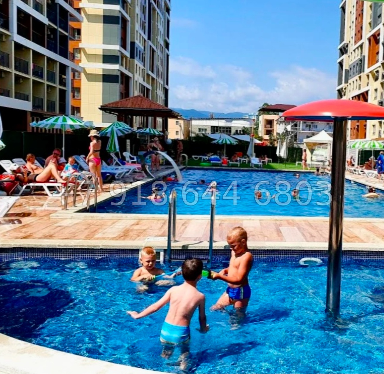 № 463 р. Квартира у моря в Сочи Дагомысе  - миниатюра 1