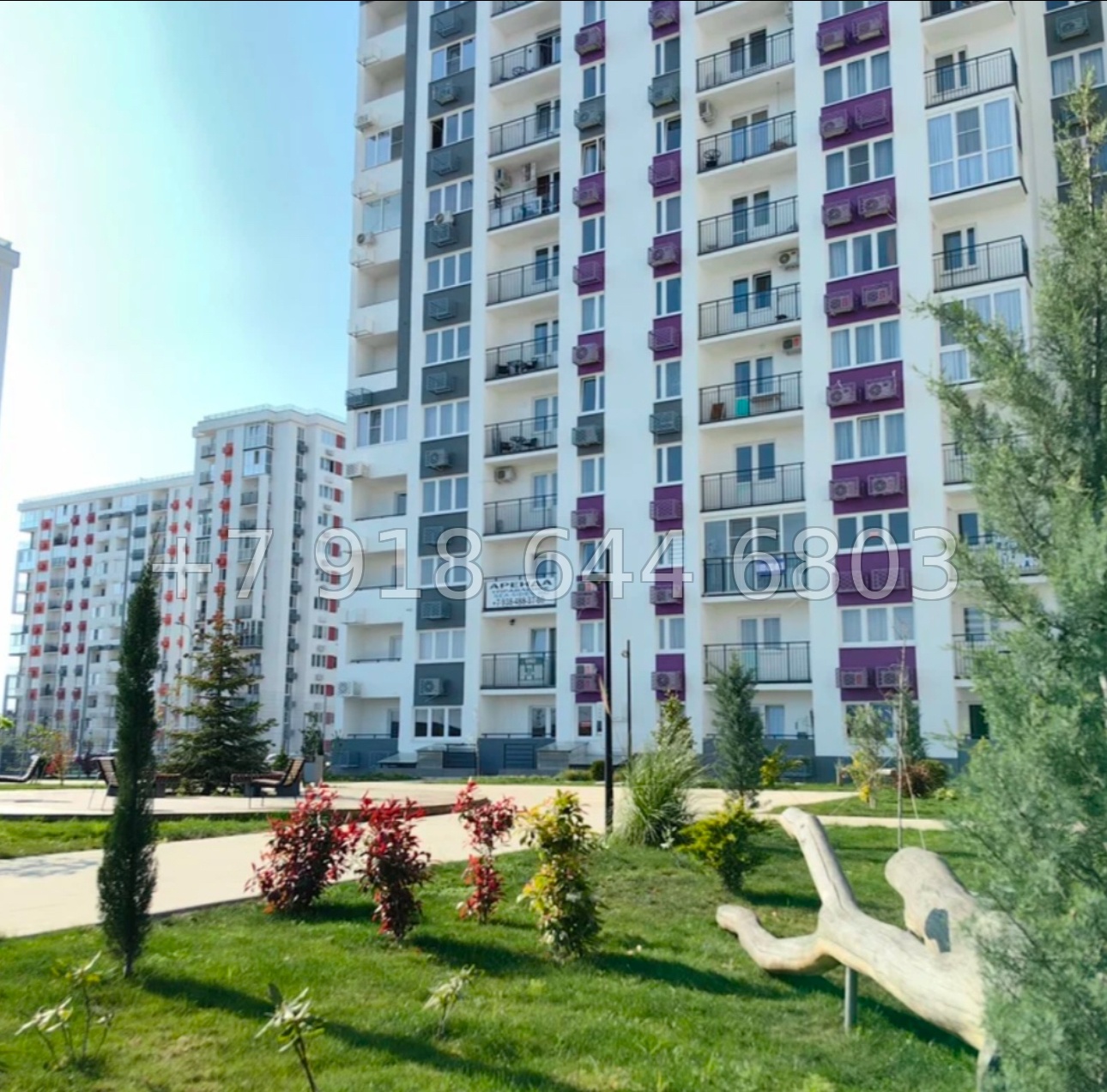 № 455 р. Квартира в Сириусе. ЖК Фрукты  - миниатюра 20