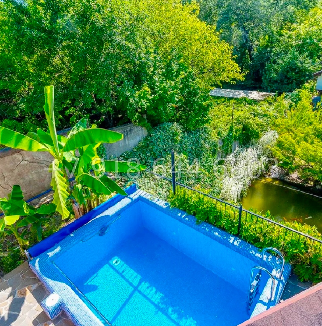 № 59 в. Дом с прудом в Сочи на Мацесте - миниатюра 13