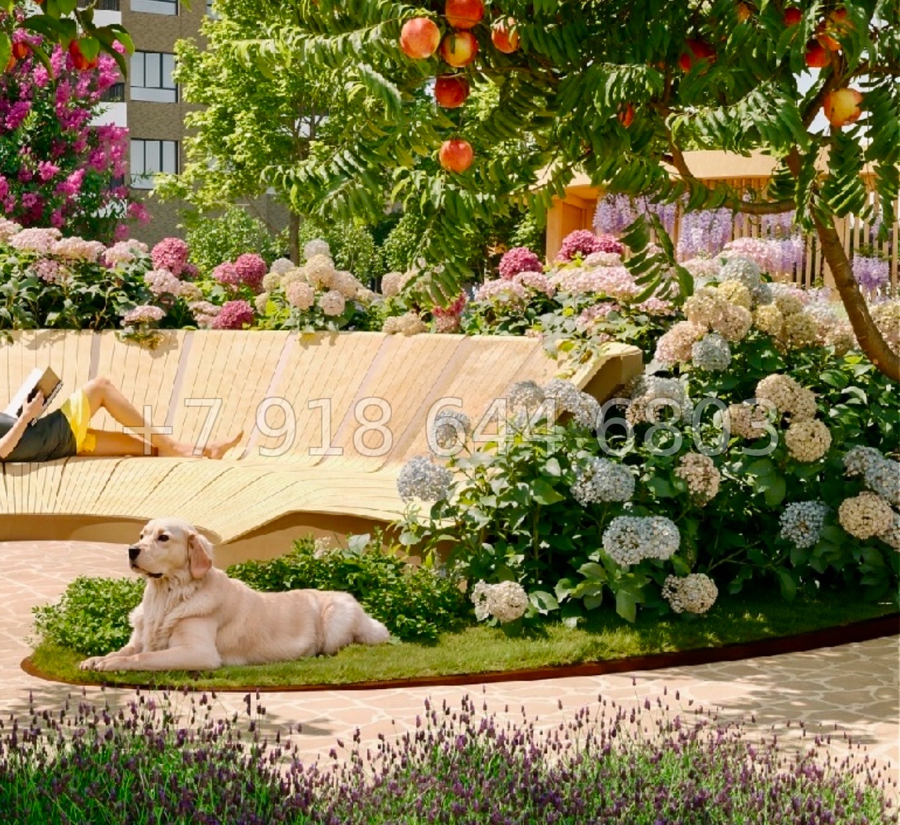 № 27 ю. Евпатория ЖК Сок - миниатюра 26