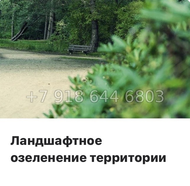 № 96 в. Метро Академическая. ЖК Ручьи-2 Санкт Петербург  - миниатюра 20