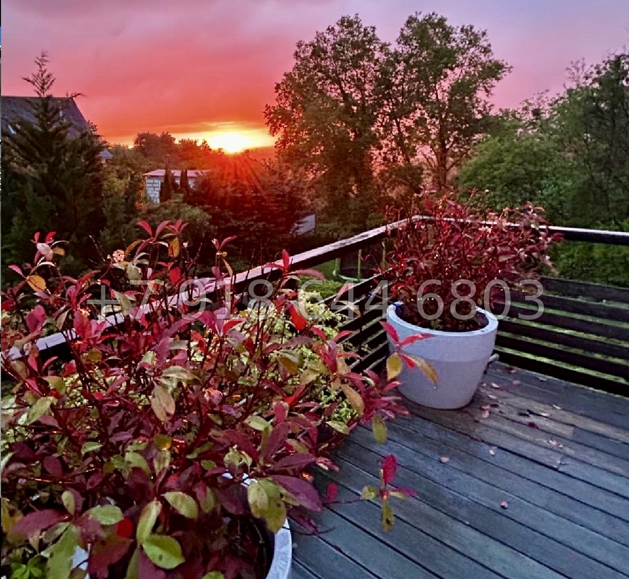 № 215 Б. Дом с видом на море в Сочи Шексна - миниатюра 6