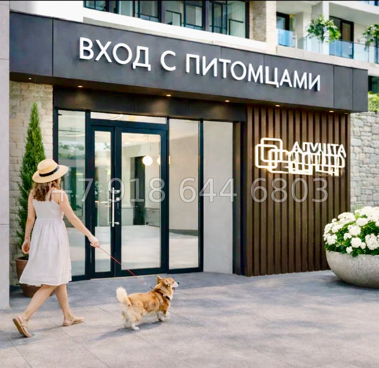 № 48 ю. Апартаменты в Алуште  - миниатюра 11