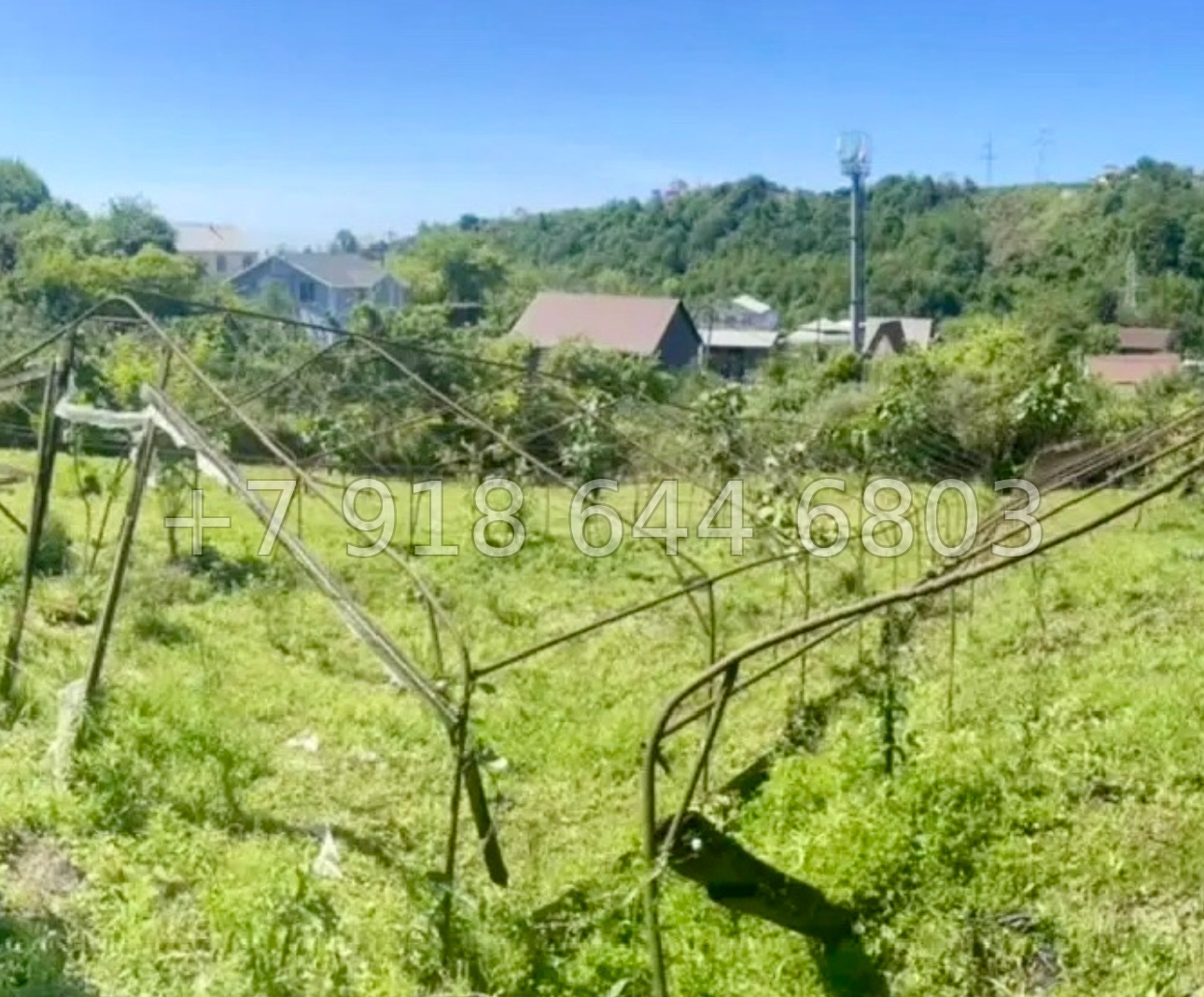 № 14 у. Земля в Адлере  - миниатюра 1