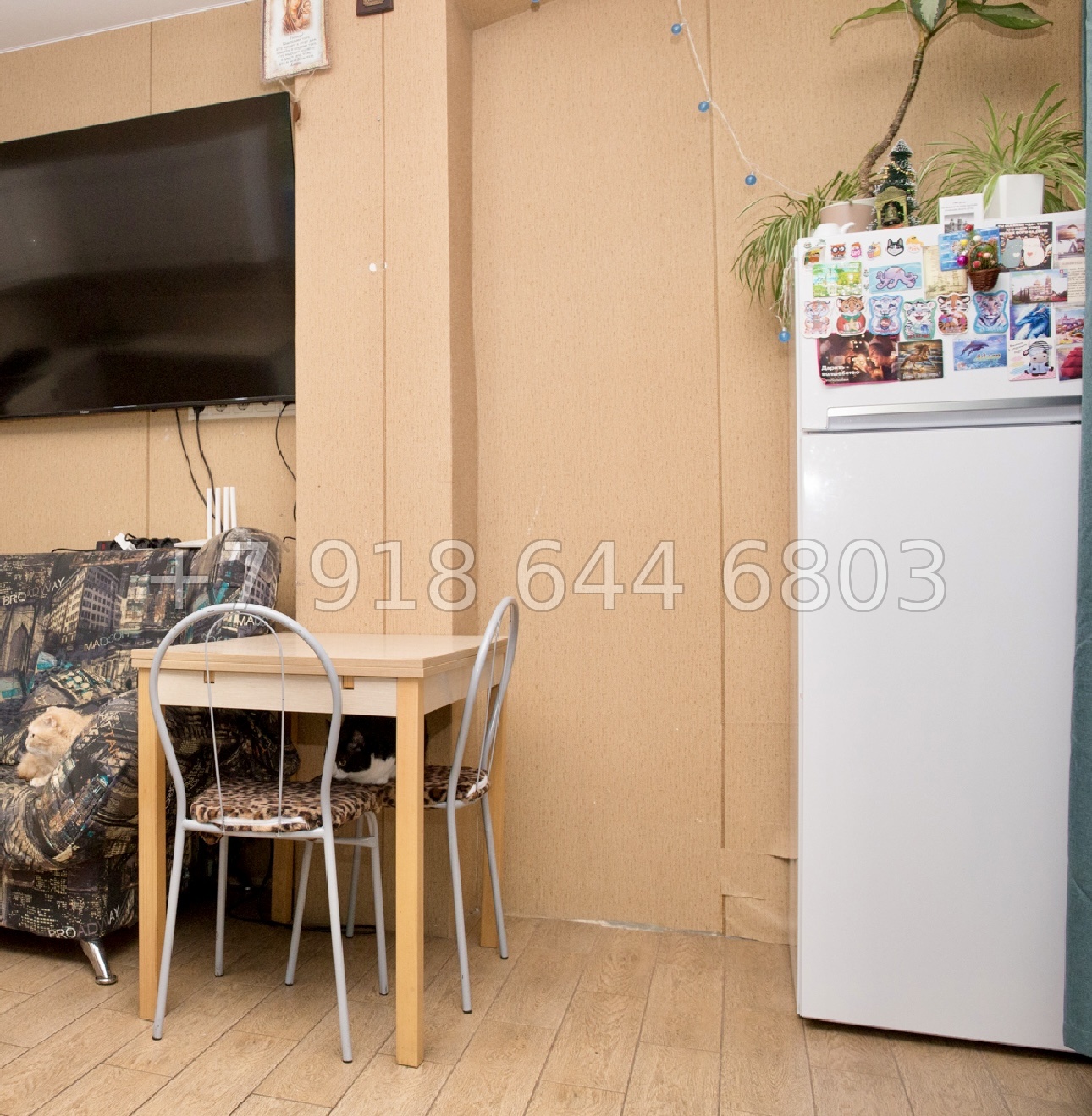 № 47п. Квартира в Адлере, недалеко от Сириуса  - миниатюра 8