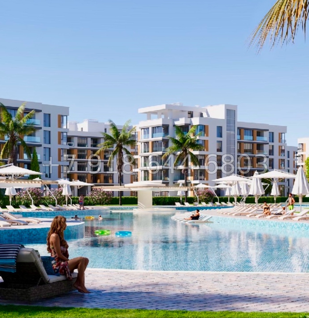 № 46 ю. АК Сады Киммерии Саки - миниатюра 2