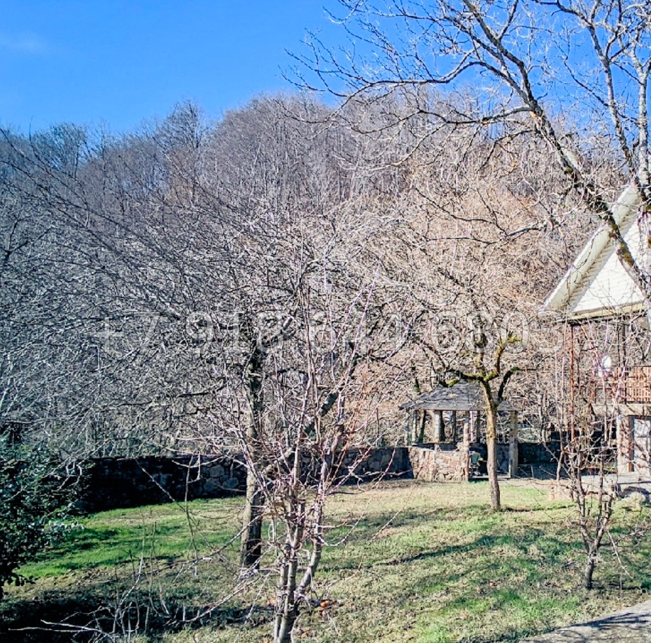 № 135 А. Дом в Сочи с фруктовым садом  - миниатюра 9