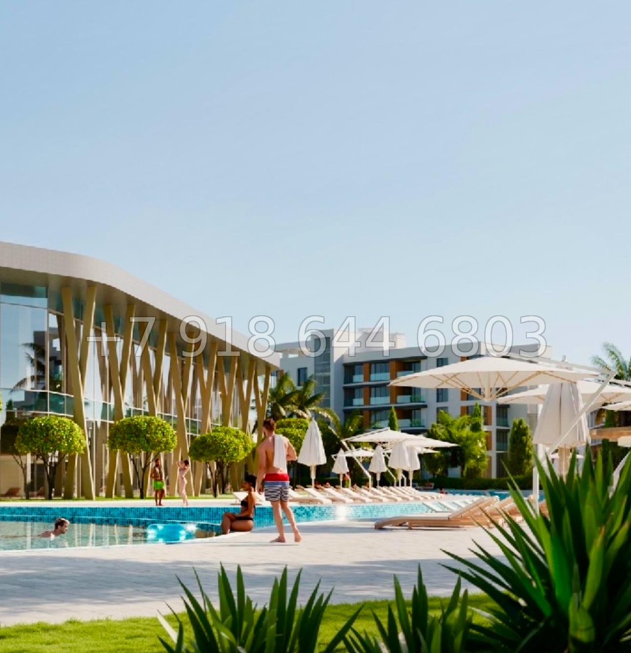 № 46 ю. АК Сады Киммерии Саки - миниатюра 4