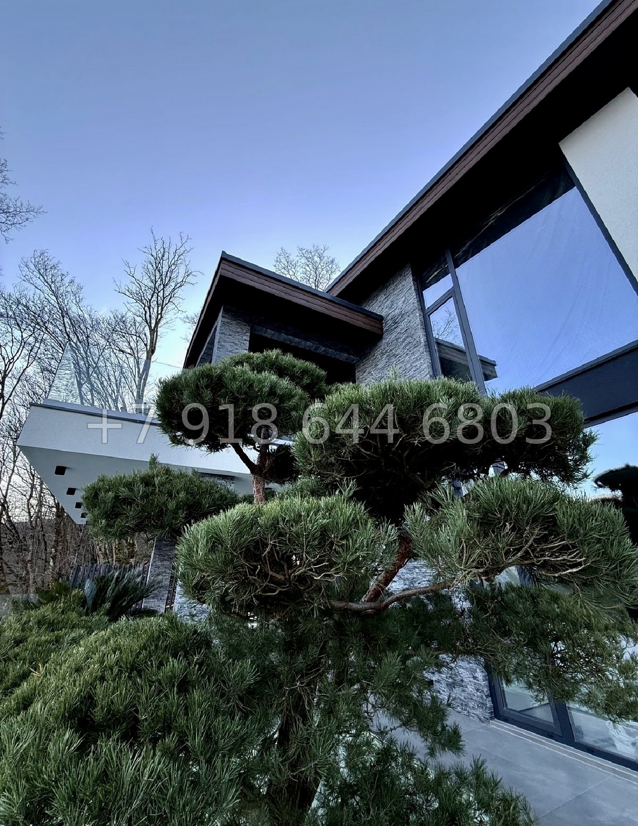 № 22 Б. Три дома с ремонтом на Мацесте - миниатюра 3