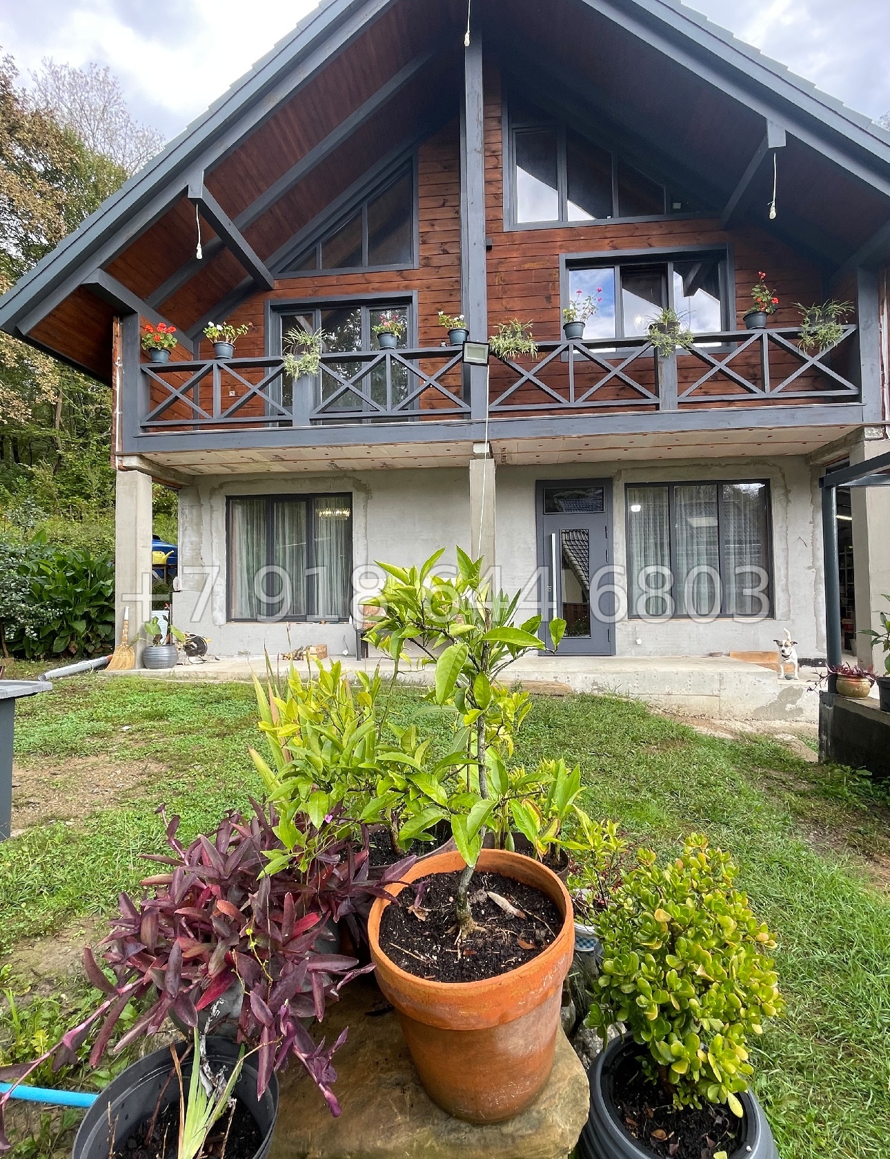 № 169 Б. Дом с ремонтом в Сочи на Мацесте  - миниатюра 20