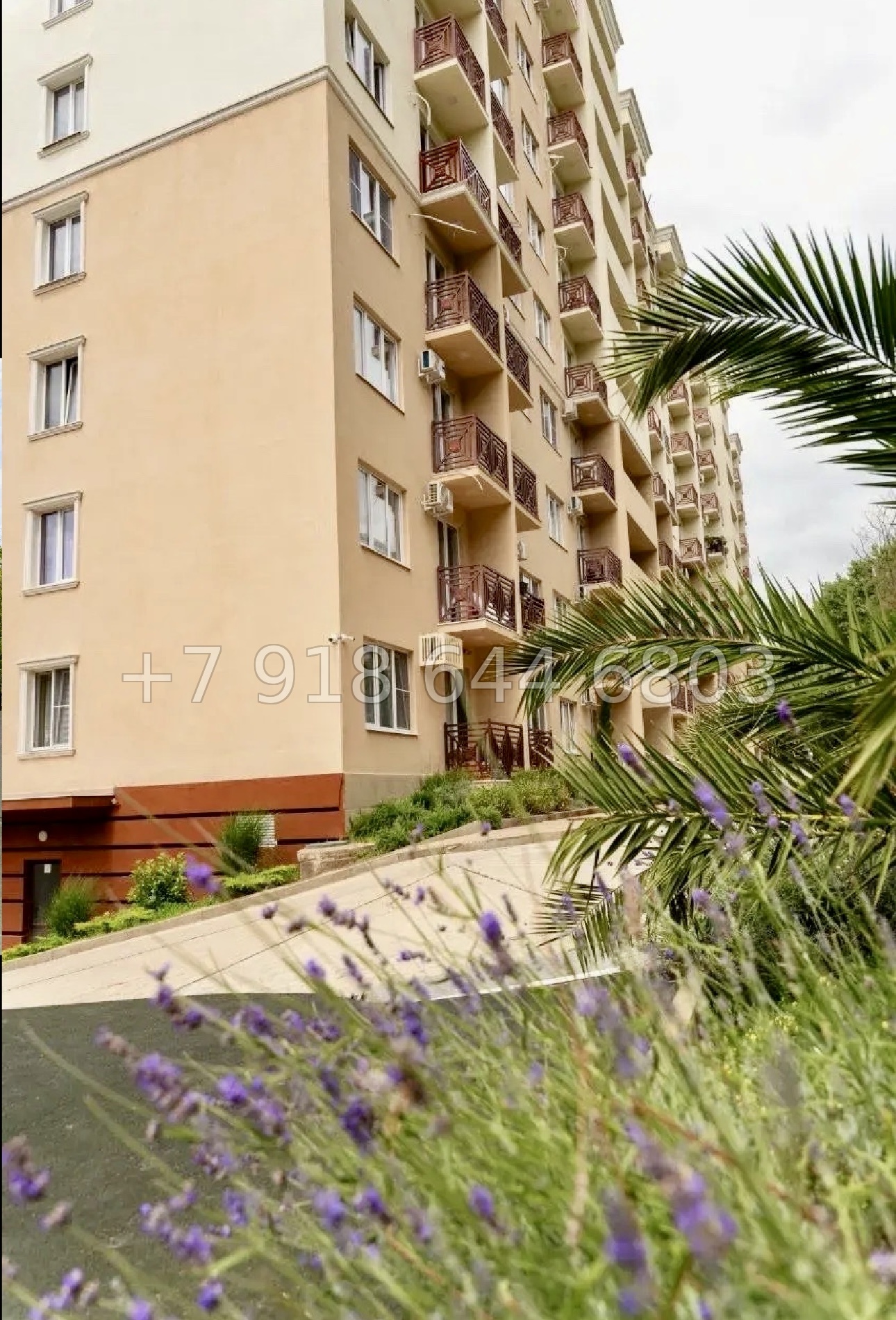 № 532 р. ЖК Лукоморье . Квартира в Сочи на Мацесте  - миниатюра 5