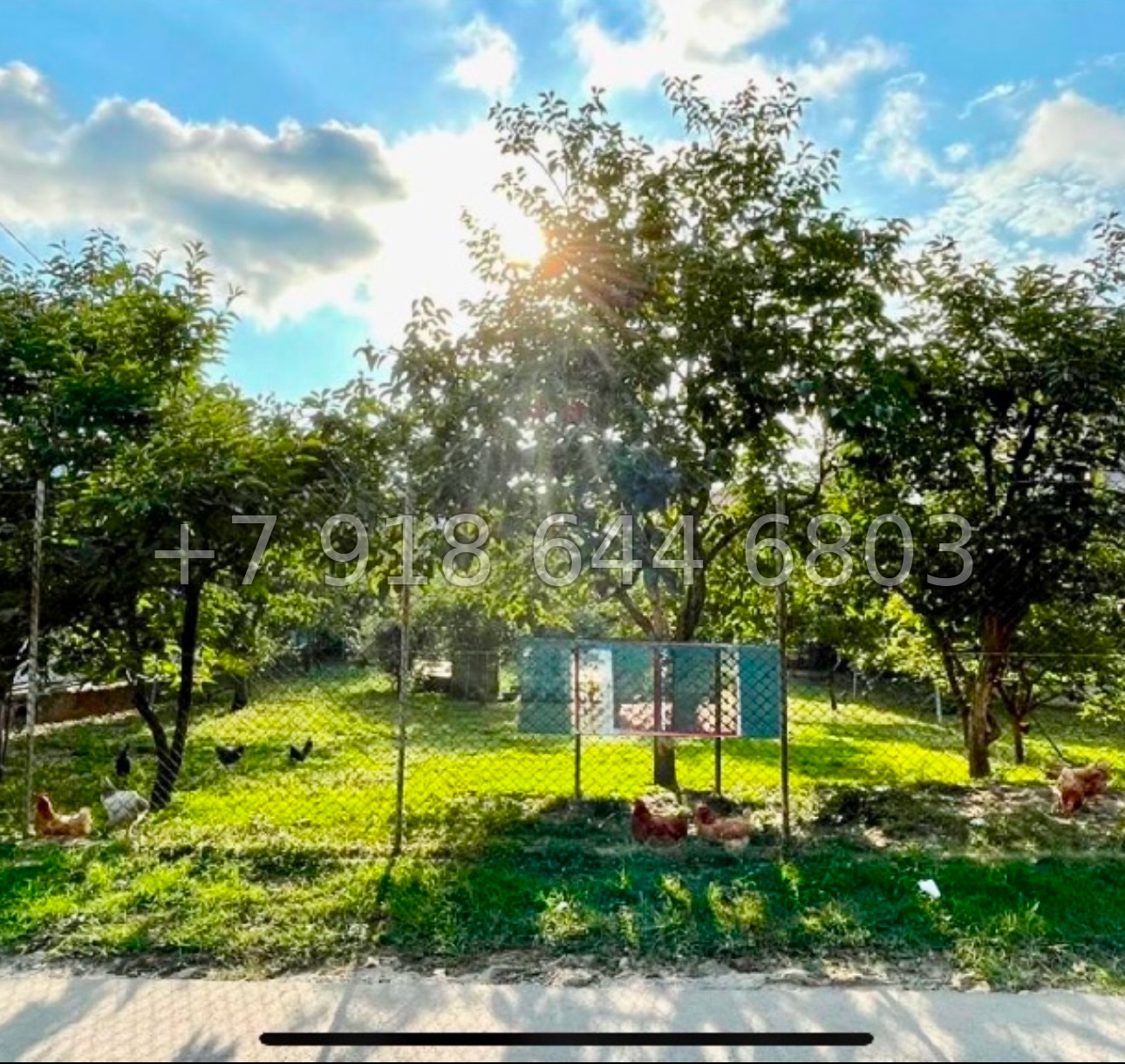 № 8у. Земля в Адлере у Сириуса  - миниатюра 2