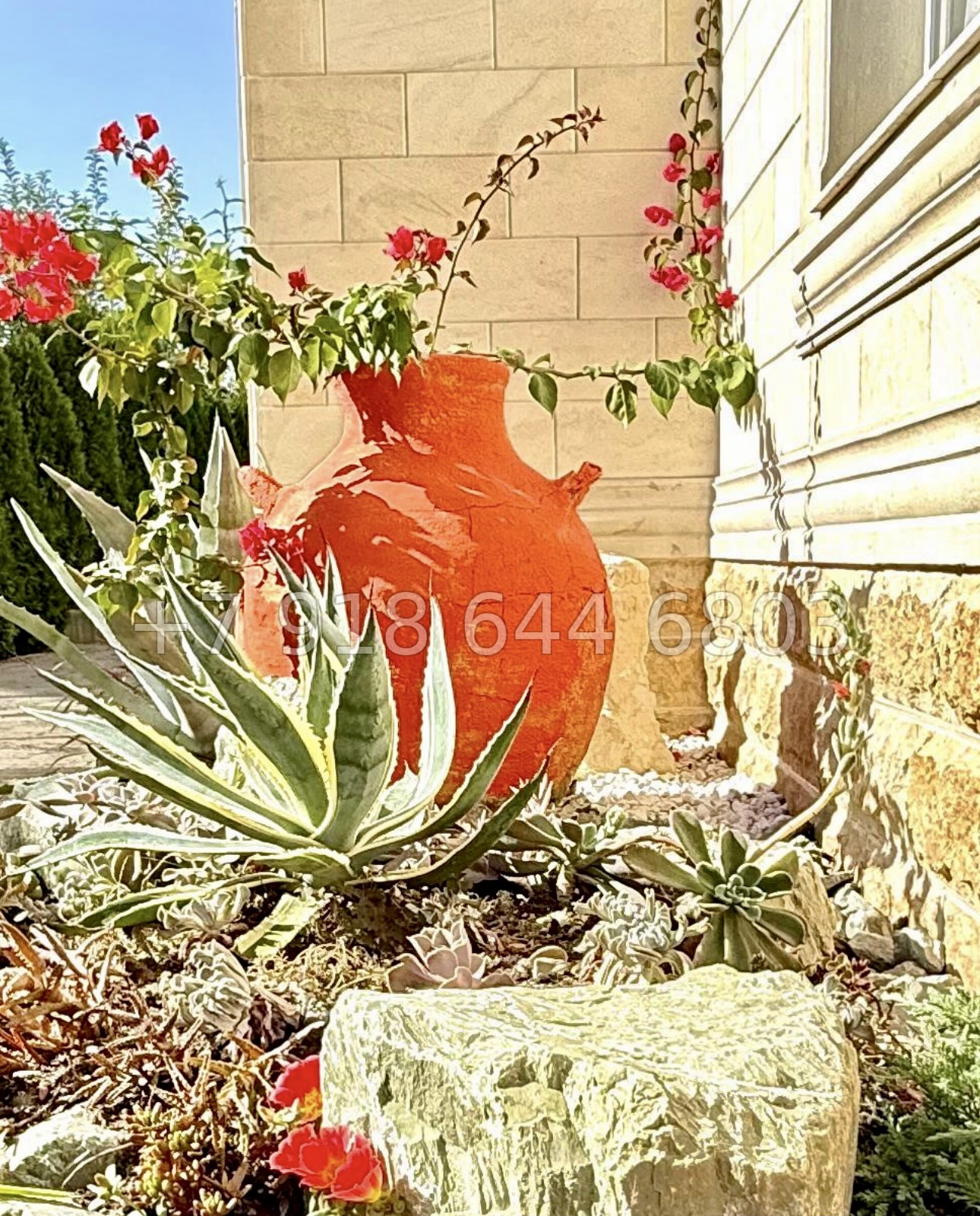 № 2 В. Дом с бассейном в Адлере  - миниатюра 14