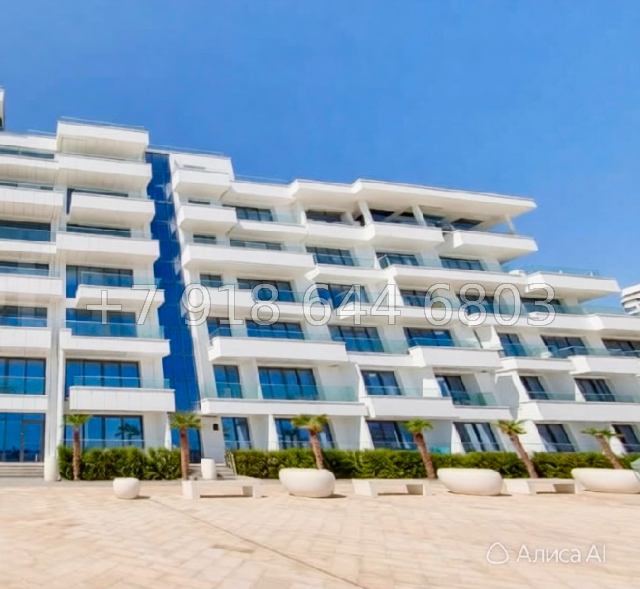 № 34 г. Апартаменты на море в Ялте  - миниатюра 14