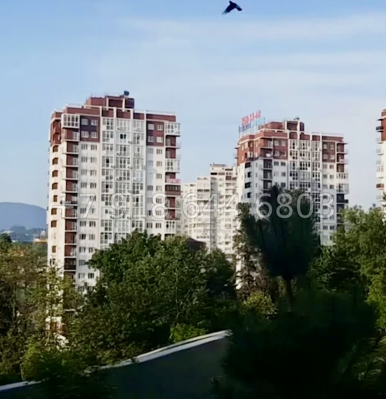 № 556 р. ЖК Остров Мечты Сочи. Центр города Сочи  - миниатюра 12