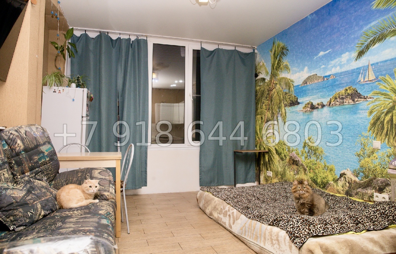 № 47п. Квартира в Адлере, недалеко от Сириуса  - миниатюра 7