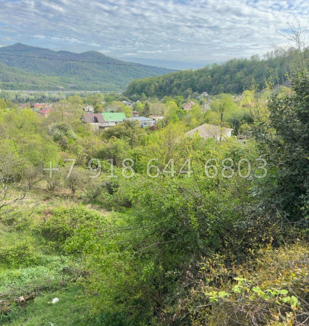 № 13 у. Земля в Адлере  - миниатюра 2