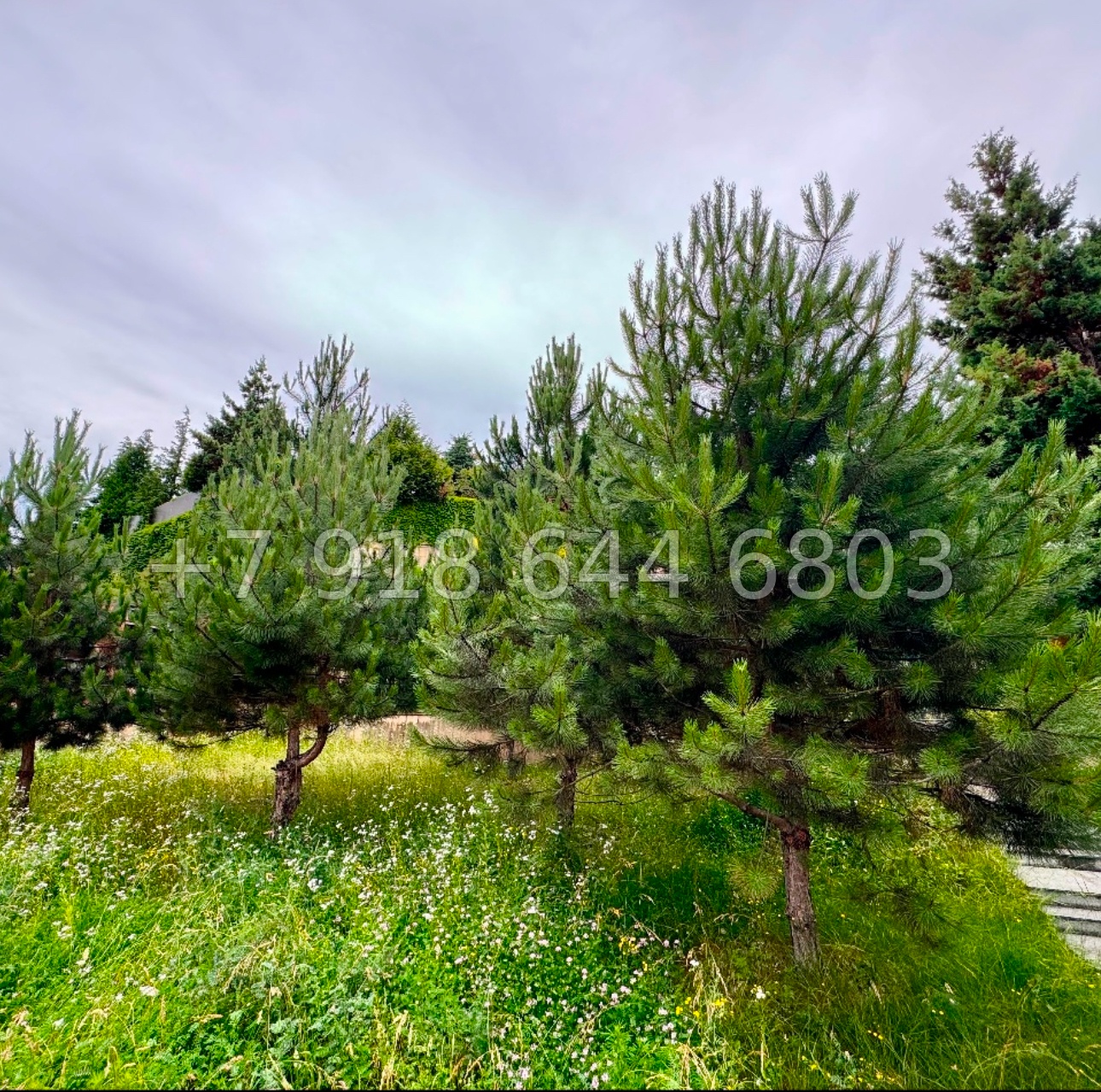 № 37 е. Дом на Красной Поляне  - миниатюра 18