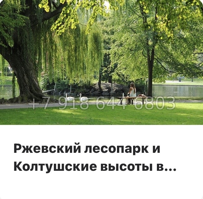№ 102 в. Метро Ладожская. ЖК Расцветай в Янино  - миниатюра 22