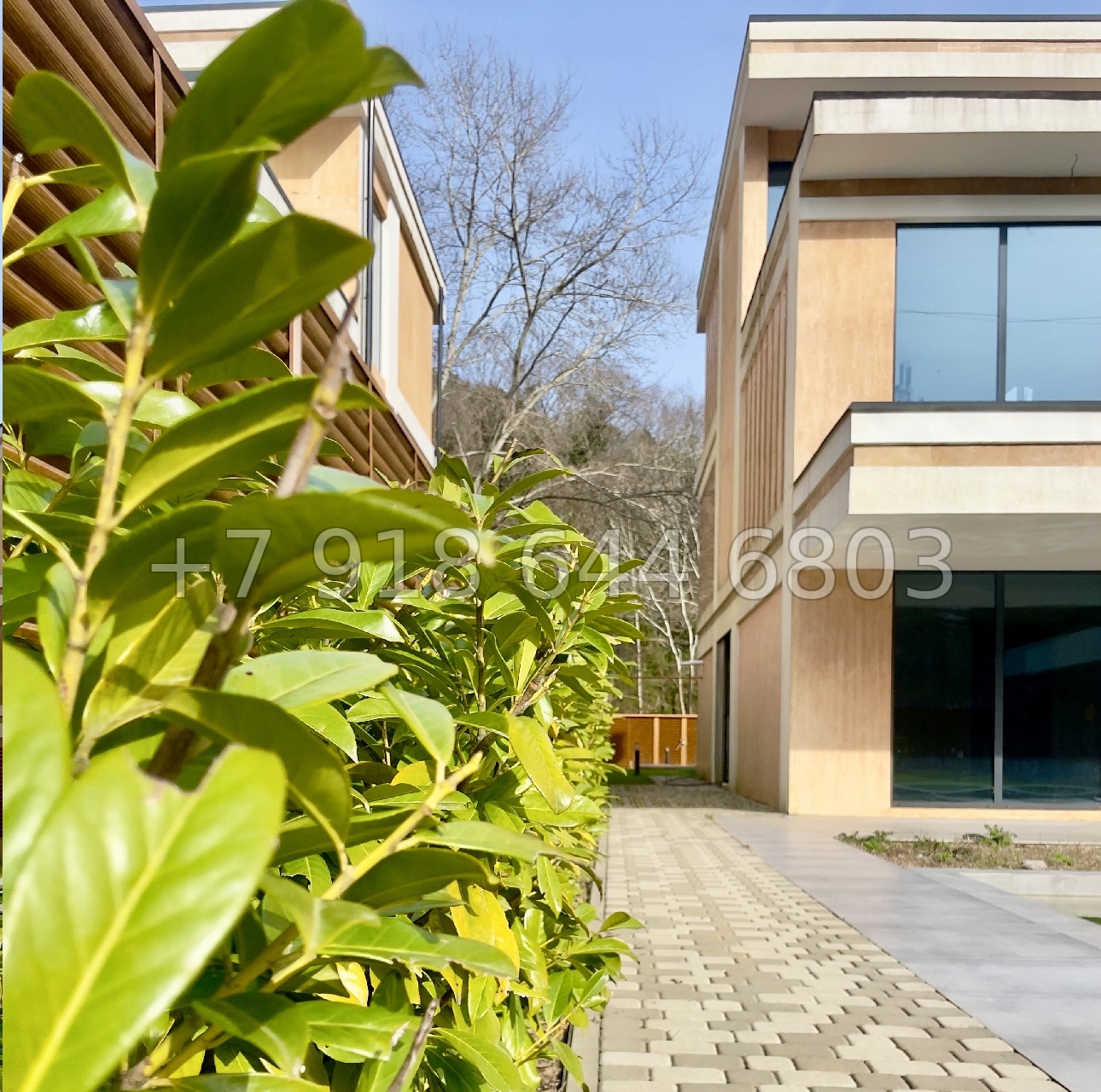 № 218 Б. Дом у школы в Дагомысе Сочи с бассейном  - миниатюра 4