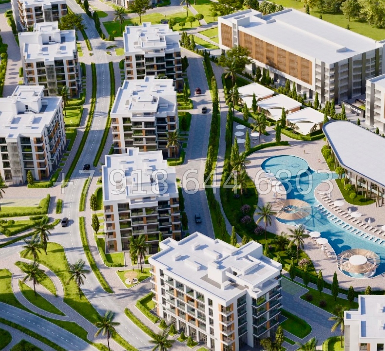 № 46 ю. АК Сады Киммерии Саки - миниатюра 16