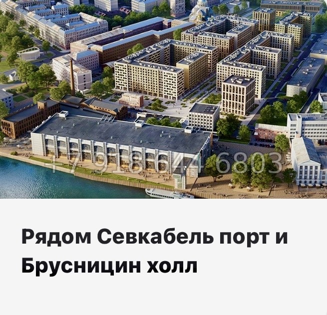 № 24 ы. Метро Горный Институт. ЖК Legenda Васильевского Санкт Петербург  - миниатюра 16