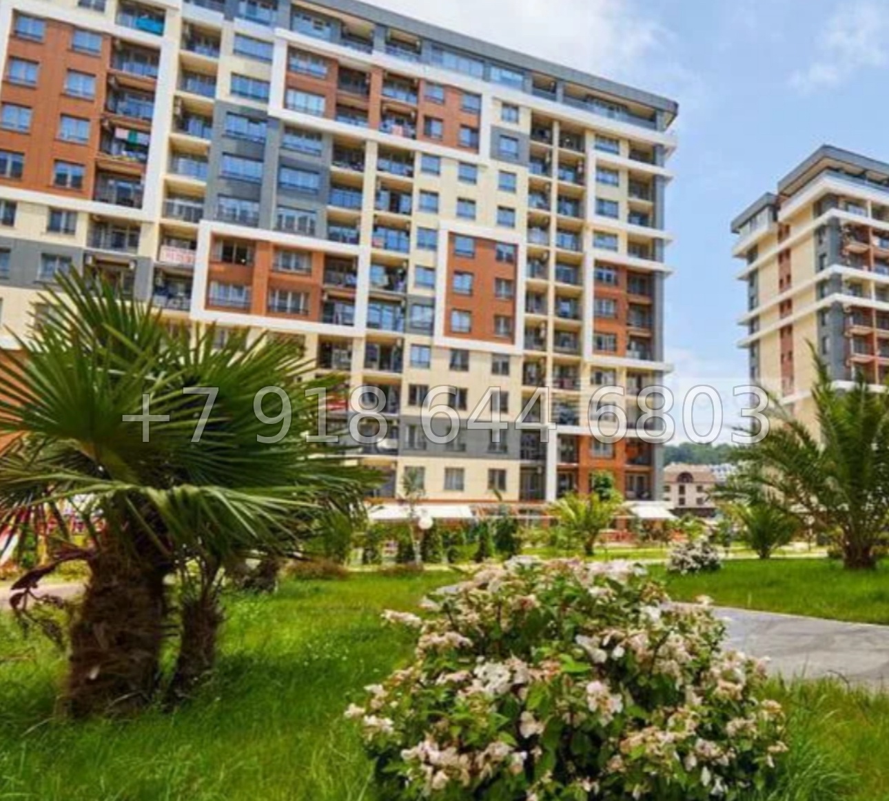 № 312 р. Квартира у моря в Сочи Каравелла Португалии  - миниатюра 24