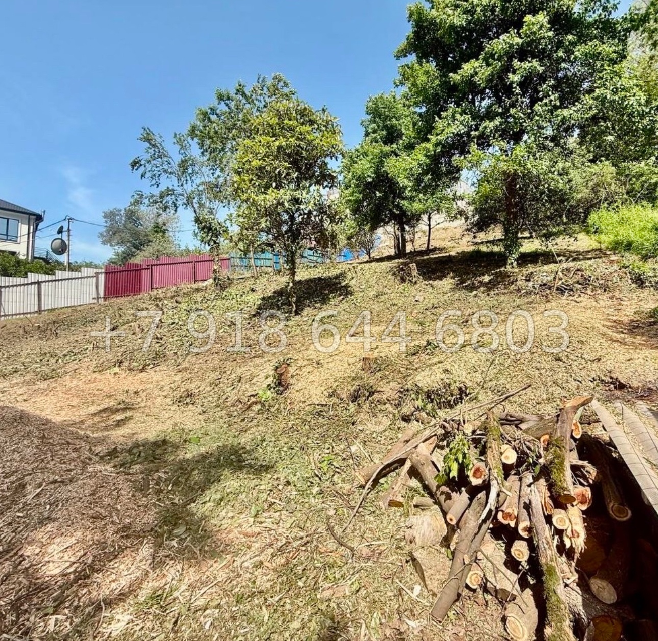 № 7у. Земля рядом с Сириусом  - миниатюра 3