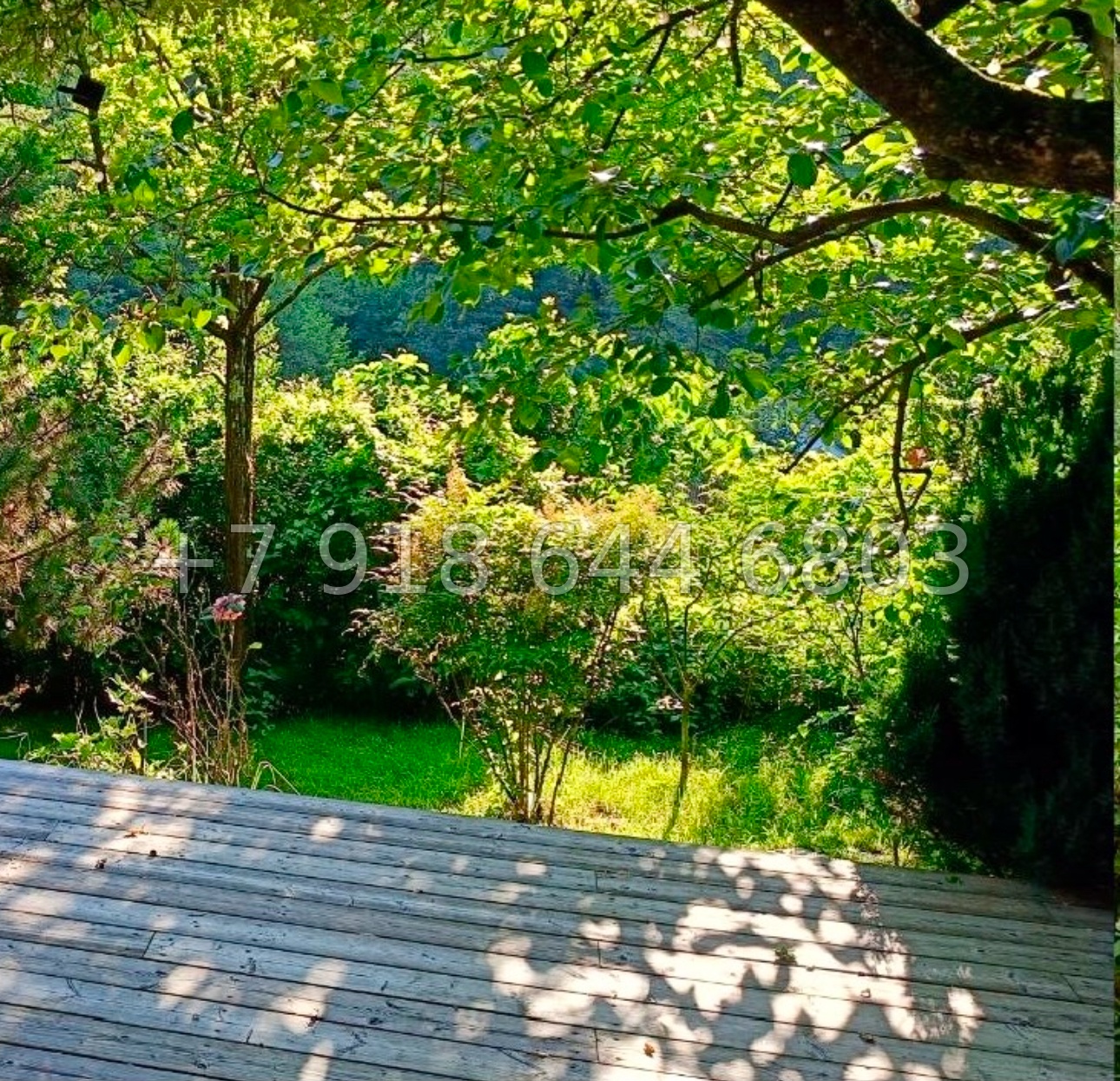 № 81А. Дача в Сочи  - миниатюра 9