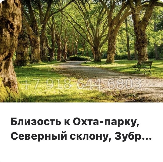 № 14 ы. ( сдан ) метро Девяткино. ЖК Полис ЛАВрики г. Мурино  - миниатюра 13