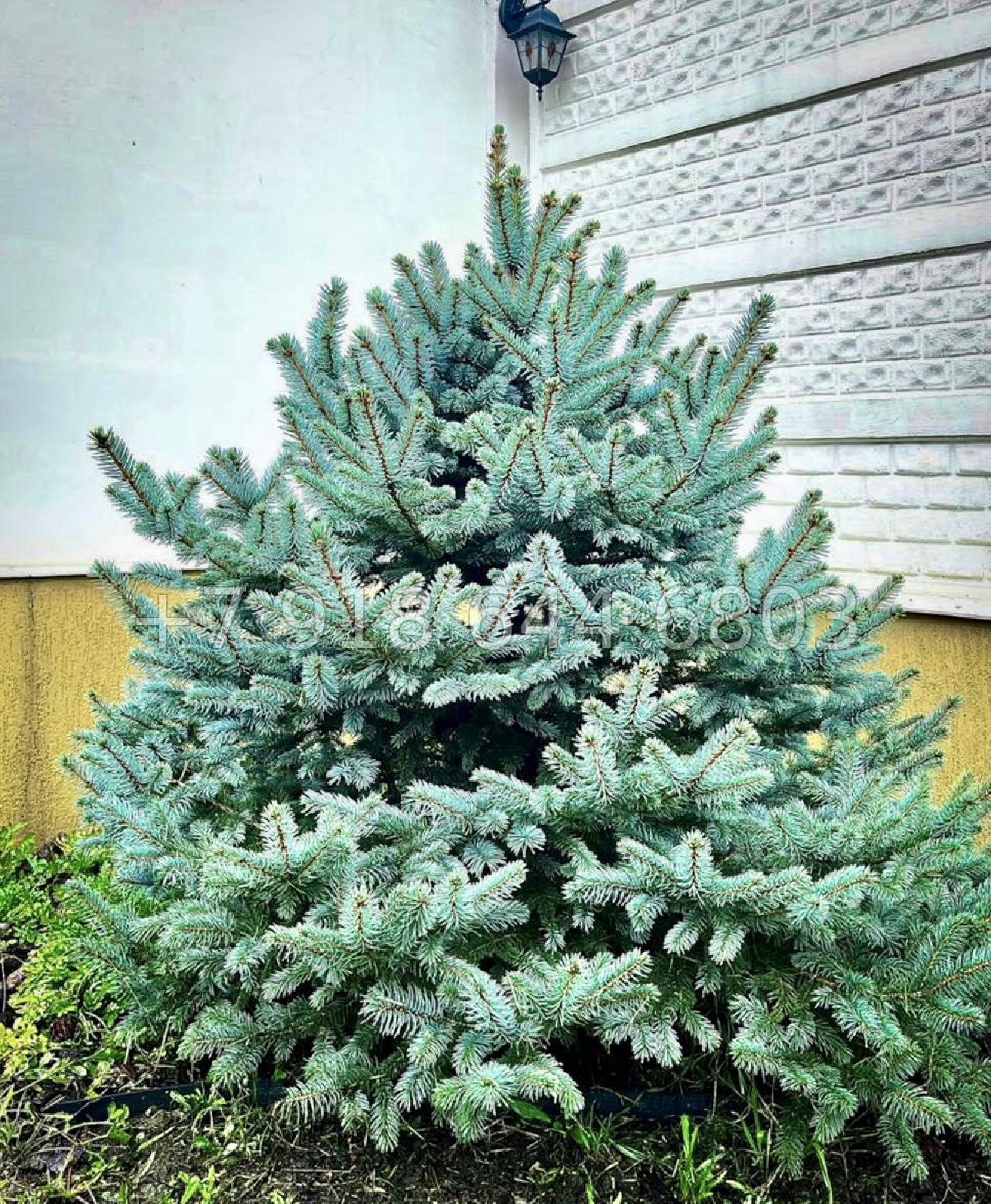 № 32в. Дом в стиле Прованс в городе Сочи  - миниатюра 22