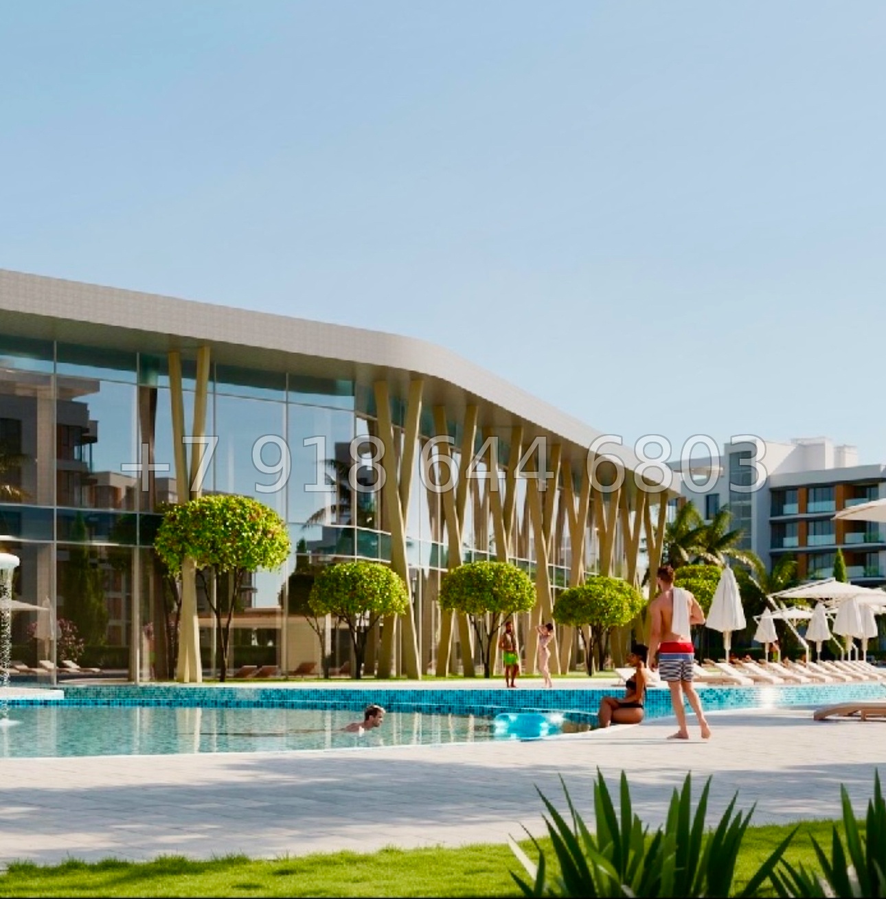 № 46 ю. АК Сады Киммерии Саки - миниатюра 13