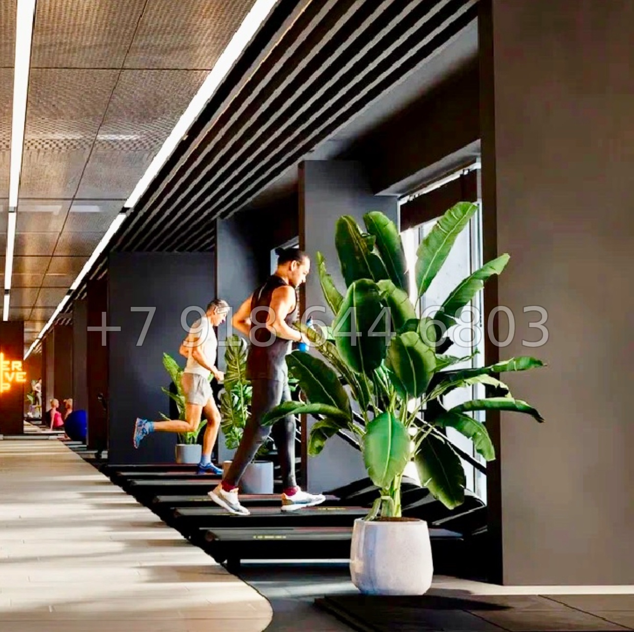 № 26 ю. Евпатория АК Beriy Palace Grand Hotel 5* (Берий Палас) - миниатюра 20