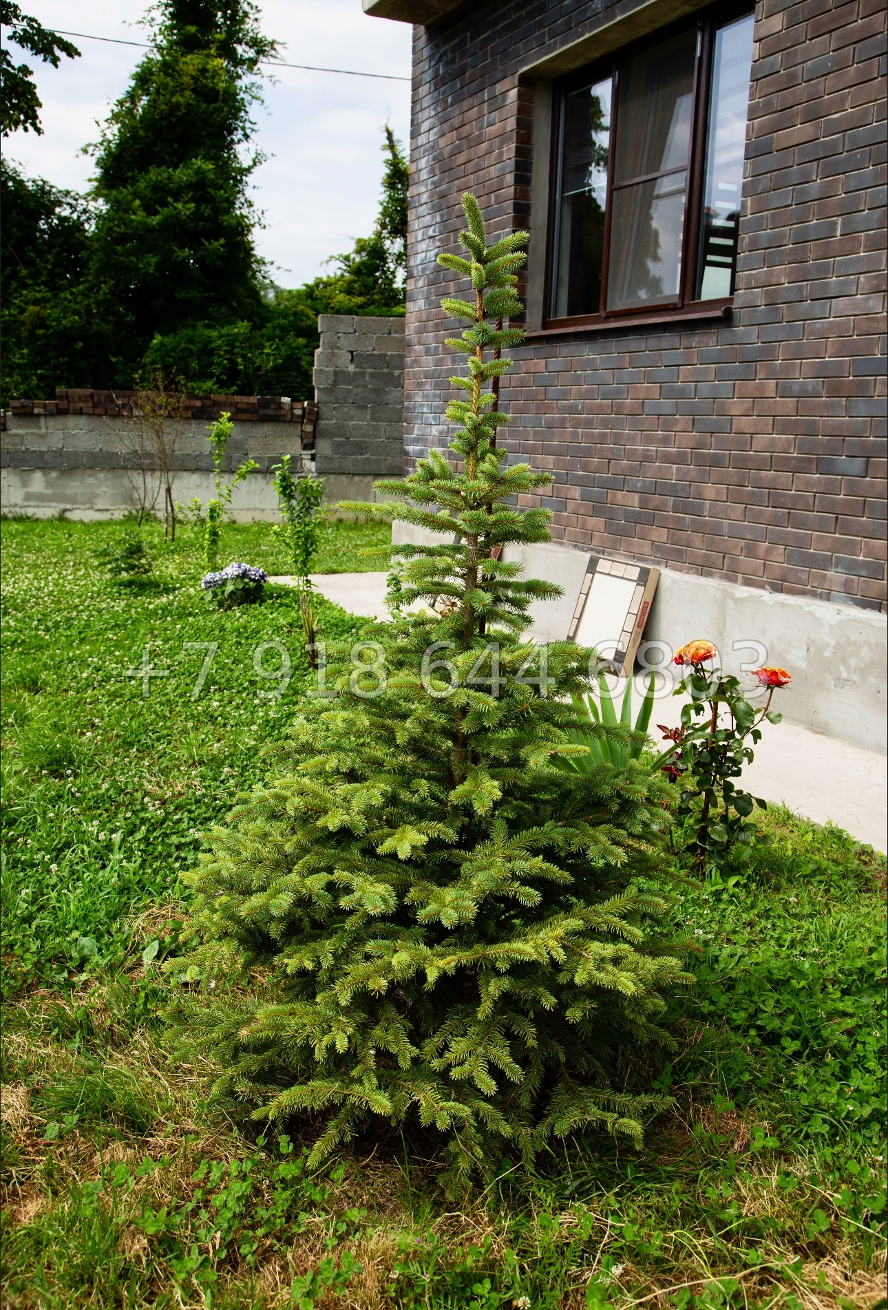 № 73 Б. Дом в городе Сочи  - миниатюра 3