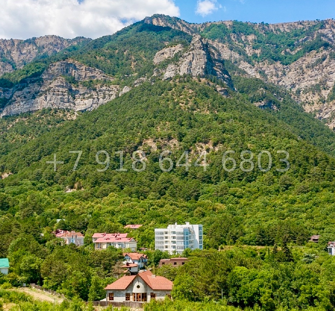 № 45 ю. КД Поляна Ялта  - миниатюра 28