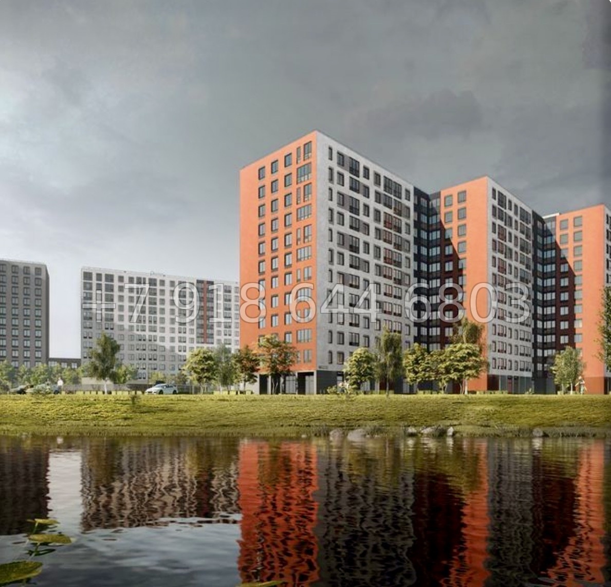 № 11 ы. Метро Девяткино. ЖК Амурино. г. Мурино  - миниатюра 1