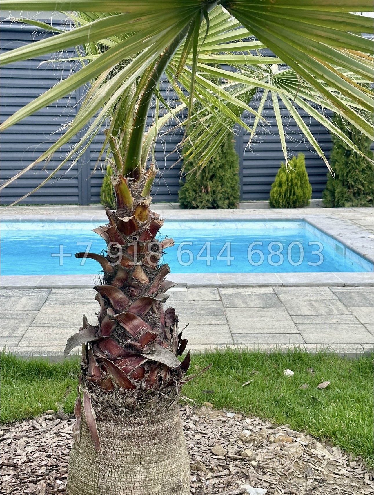 № 31 Б. Дома в Каштанах Сочи - миниатюра 9