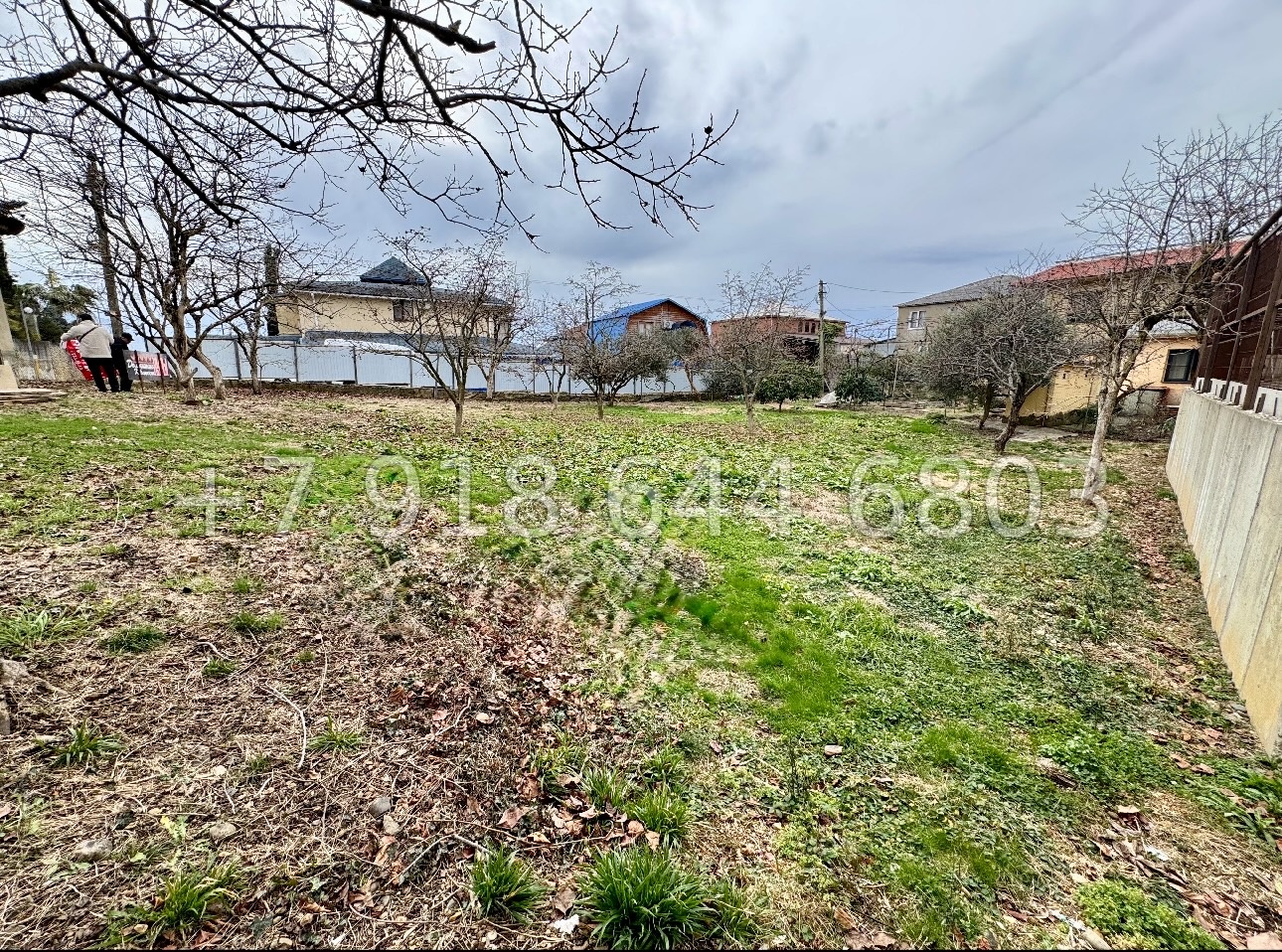 № 8у. Земля в Адлере у Сириуса  - миниатюра 10