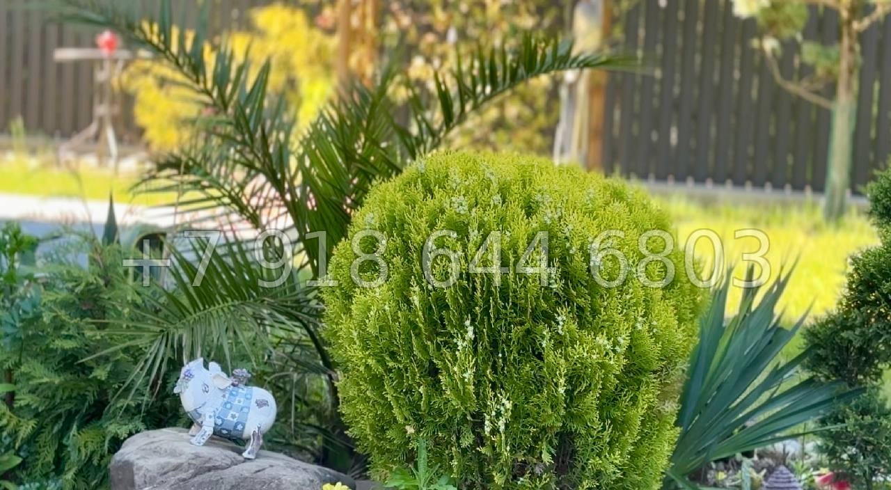 № 4 Б. Дом в Сочи - миниатюра 5